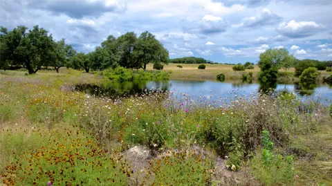 1 Vaquero Vista Lane