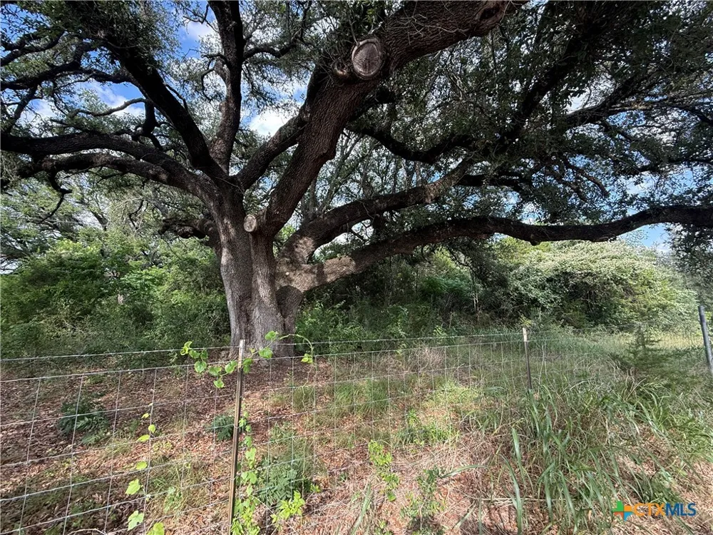 16350 Cedar Valley Road Salado, TX 76571