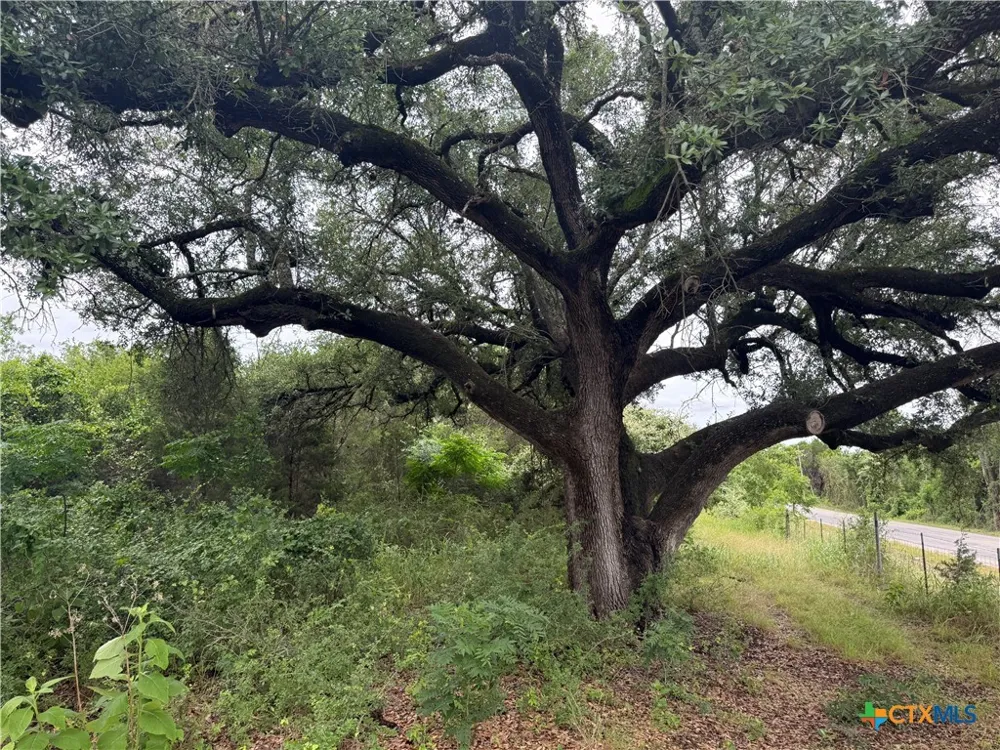 16350 Cedar Valley Road Salado, TX 76571