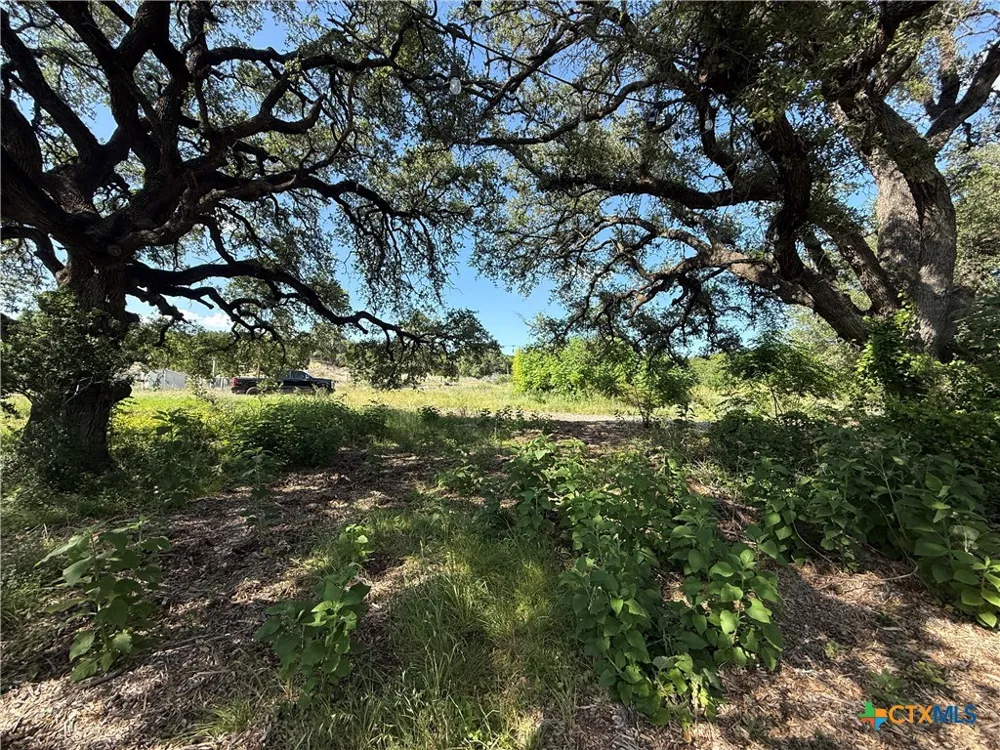 16350 Cedar Valley Road Salado, TX 76571