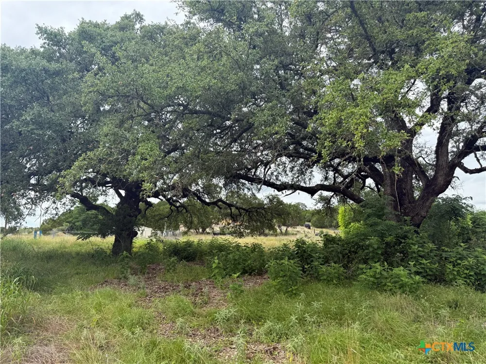 16350 Cedar Valley Road Salado, TX 76571