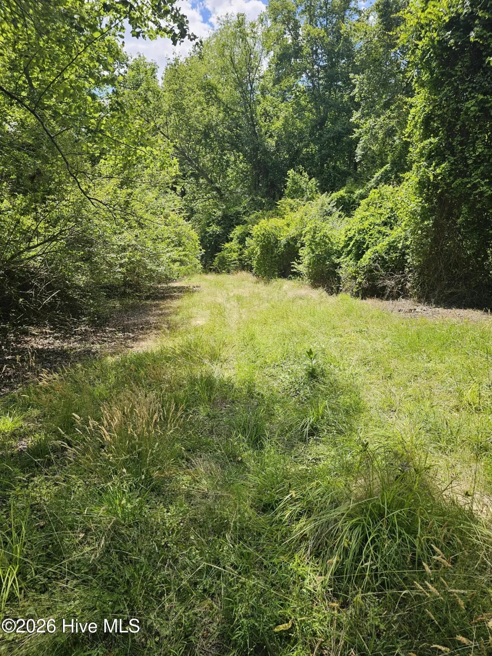 000 Madison Court Bailey, NC 27807