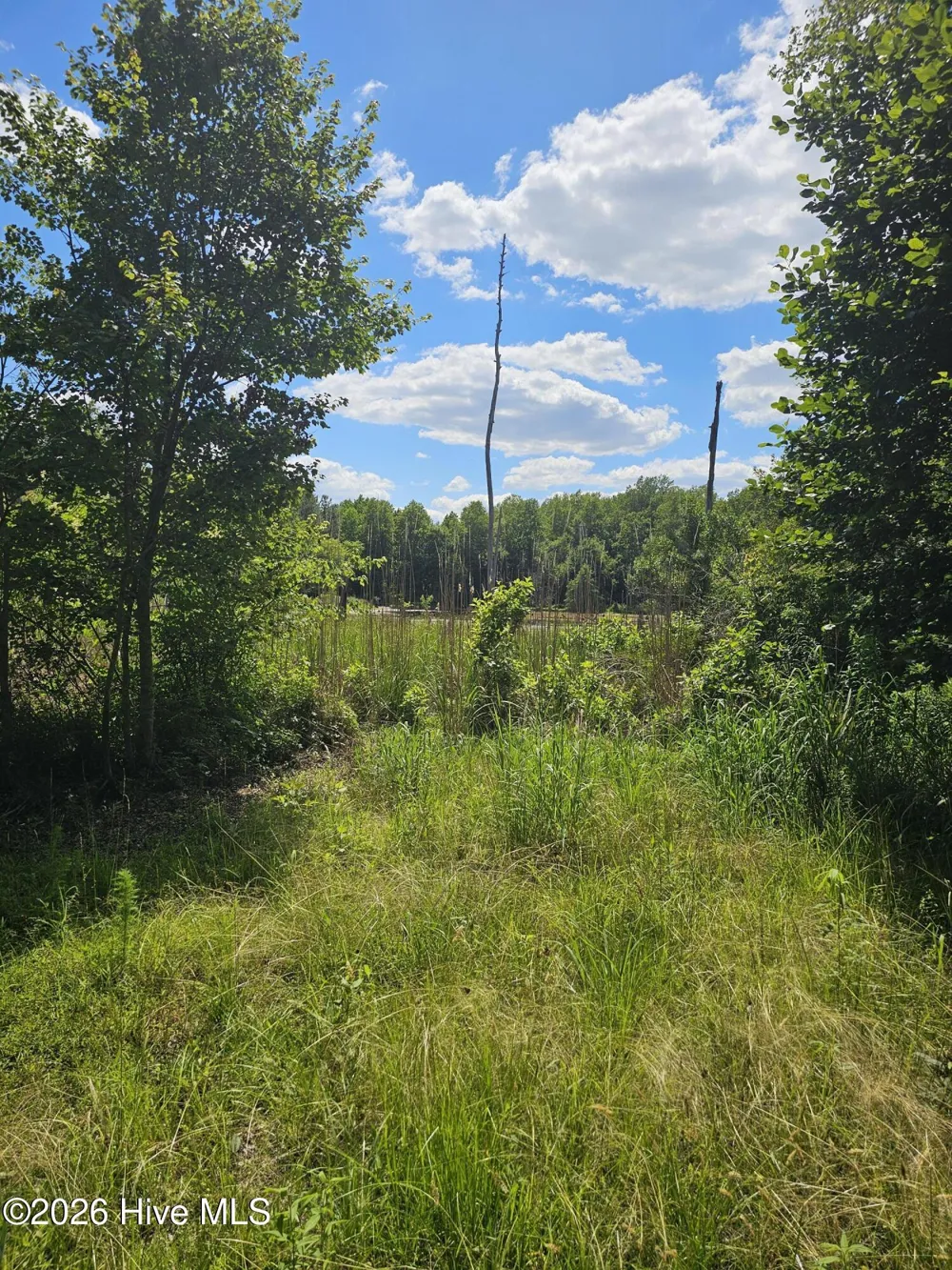 000 Madison Court Bailey, NC 27807
