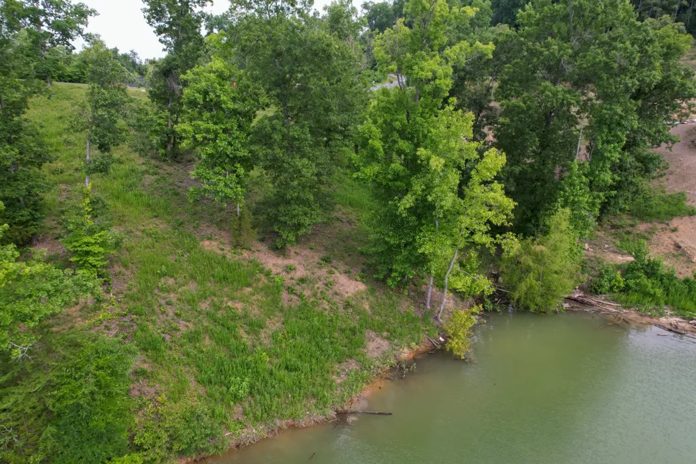 44 Stone Harbor Dr Dandridge, TN 37725