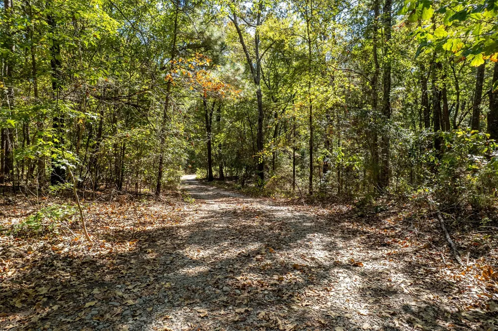 2026 CR 3234 Quitman, TX 75783