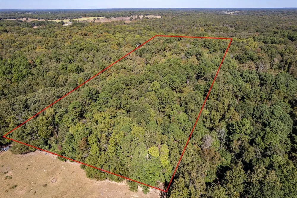 2026 CR 3234 Quitman, TX 75783