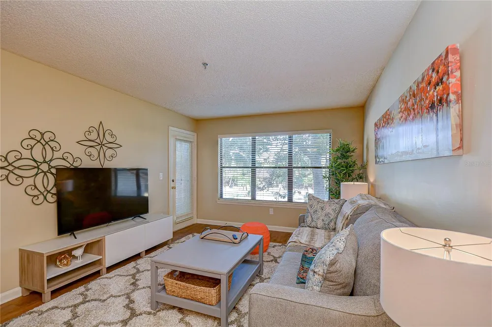 11901 4TH STREET #4206 St Petersburg, FL 33716