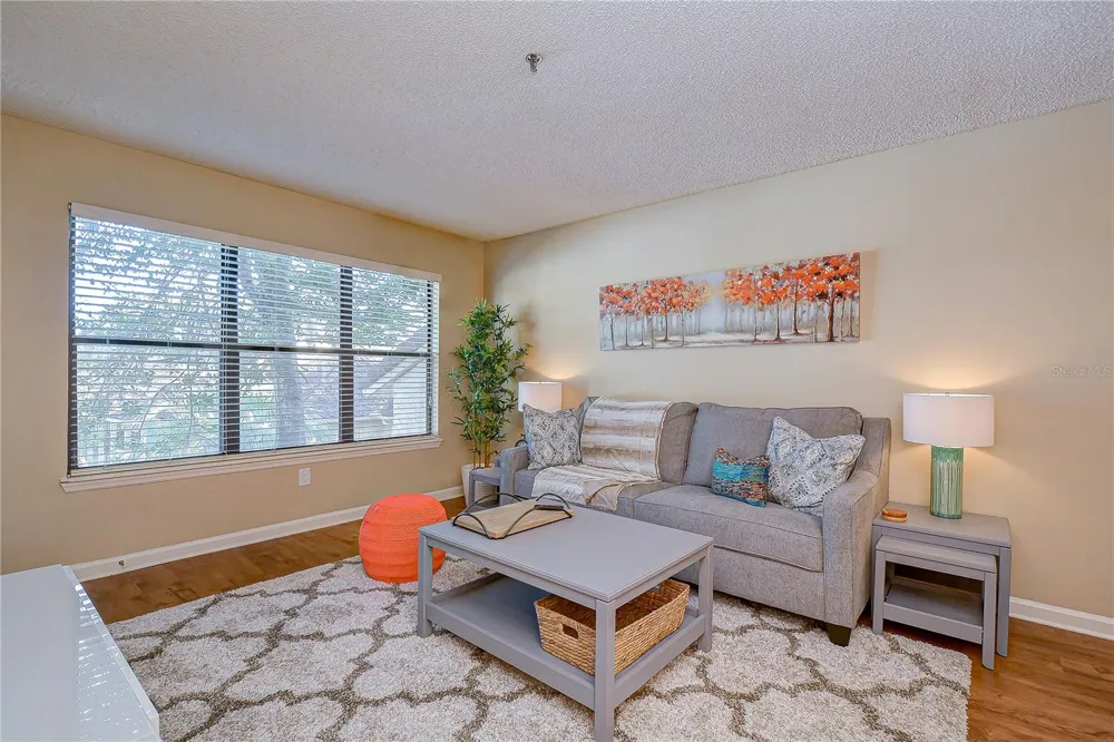 11901 4TH STREET #4206 St Petersburg, FL 33716