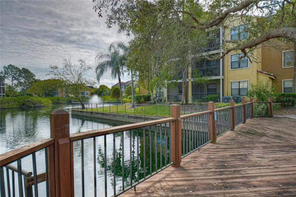 11901 4TH STREET #4206 St Petersburg, FL 33716