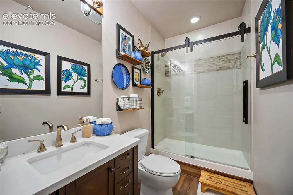 4267 County Road 51 Divide, CO 80814