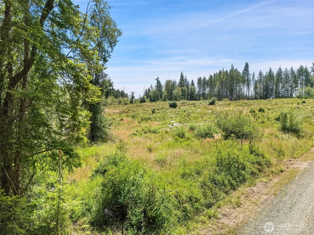 0 TR10 SE Wellswood Way Shelton, WA 98584