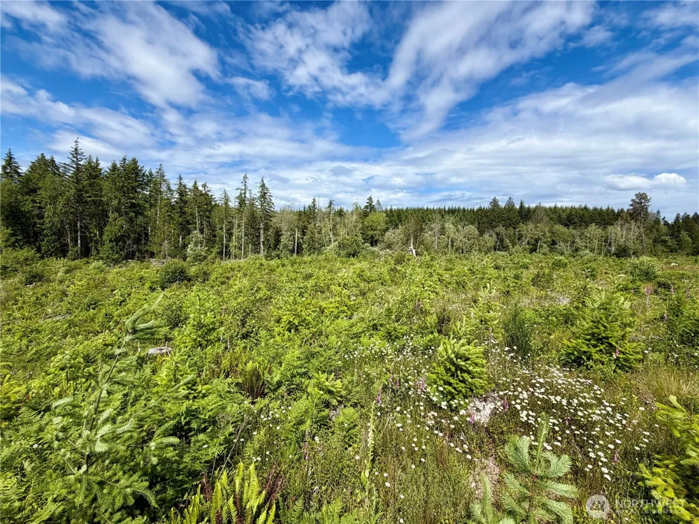0 TR10 SE Wellswood Way Shelton, WA 98584