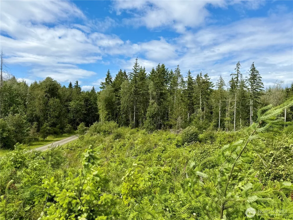 0 TR10 SE Wellswood Way Shelton, WA 98584