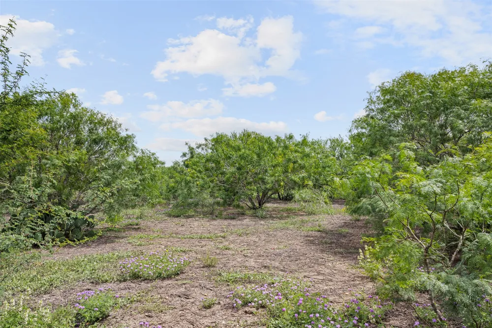 3315 Dry Creek Road Lockhart, TX 78644