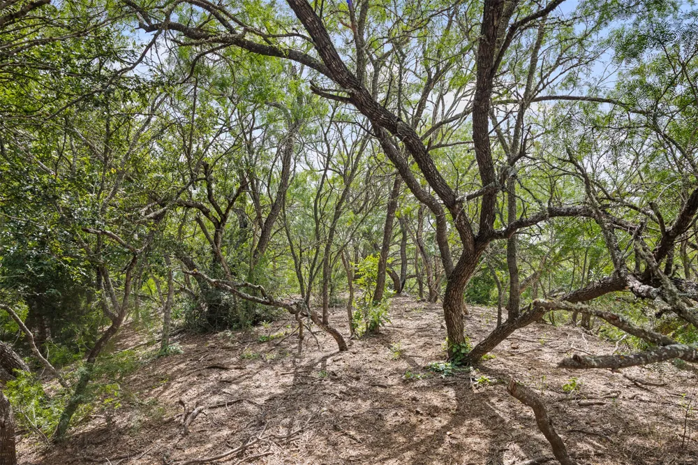 3315 Dry Creek Road Lockhart, TX 78644