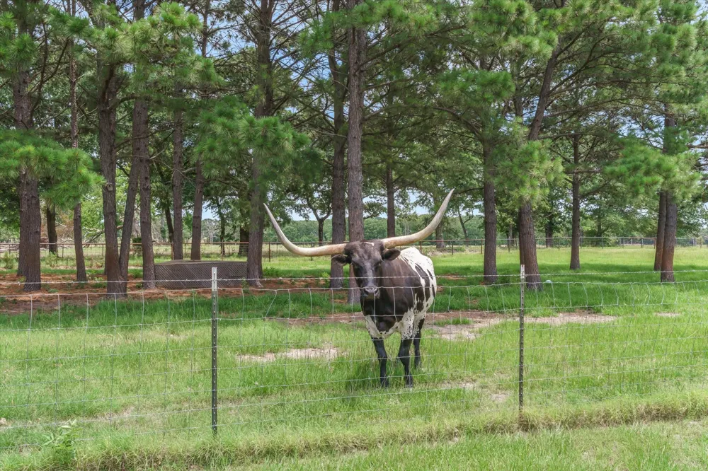 132 Private Road 7105 Edgewood, TX 75117