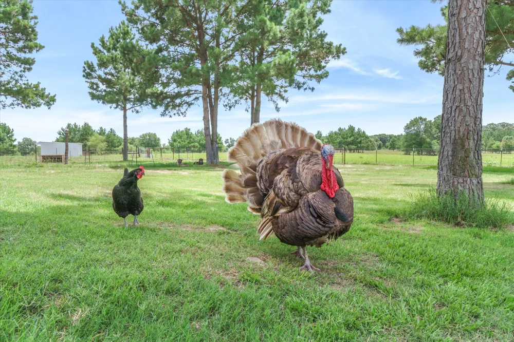 132 Private Road 7105 Edgewood, TX 75117