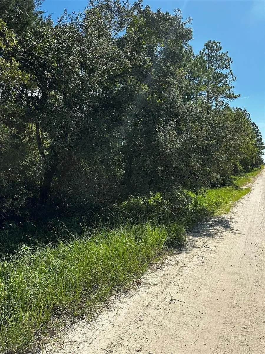 XX SE 21ST PLACE Williston, FL 32696