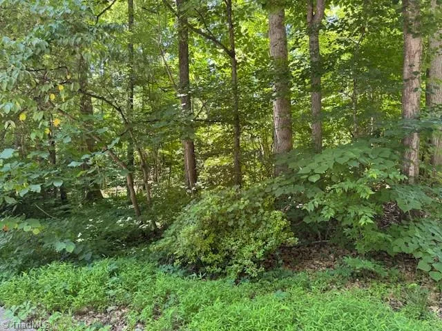271 Holly Lane Mocksville, NC 27028