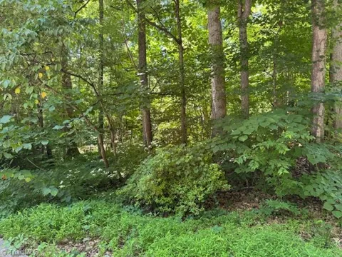 271 Holly Lane
