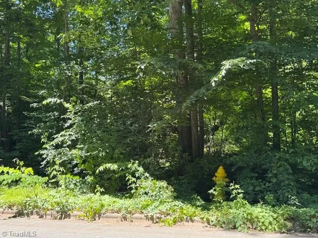 271 Holly Lane Mocksville, NC 27028