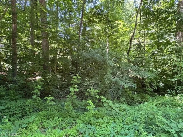 271 Holly Lane Mocksville, NC 27028