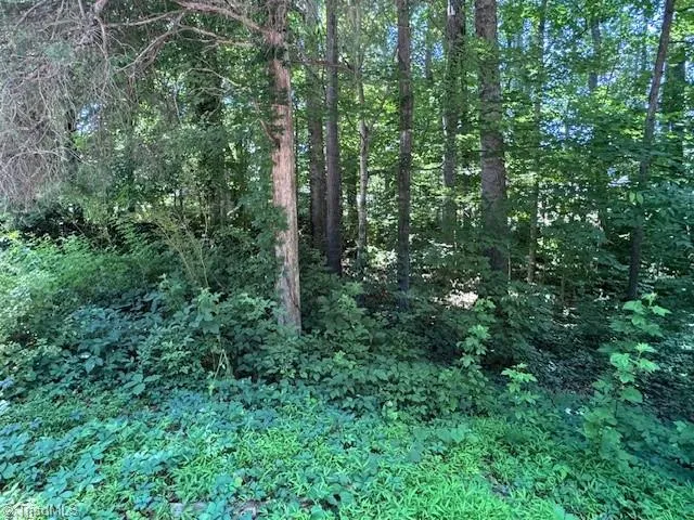 271 Holly Lane Mocksville, NC 27028
