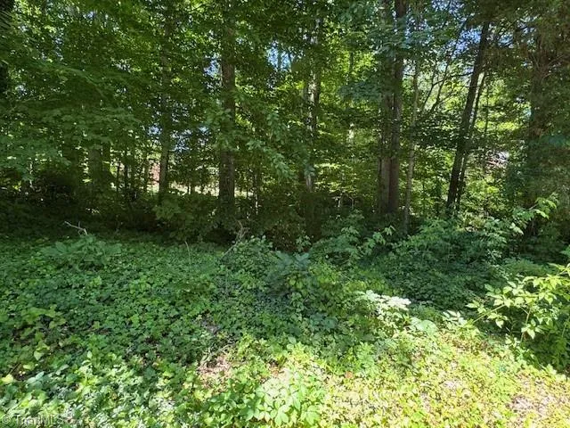 271 Holly Lane Mocksville, NC 27028