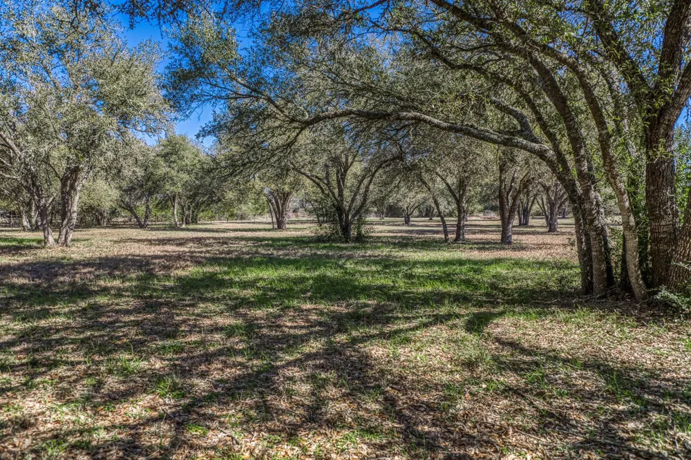1585 Round Top Road Round Top, TX 78954