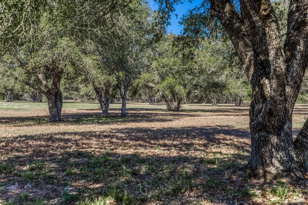1585 Round Top Road Round Top, TX 78954