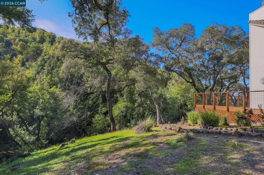 4 Julianna Moraga, CA 94556
