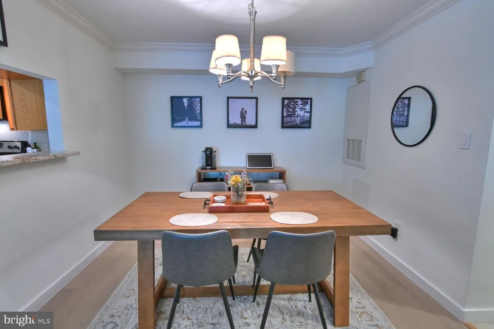 2220 SPRINGWOOD DRIVE #C Reston, VA 20191