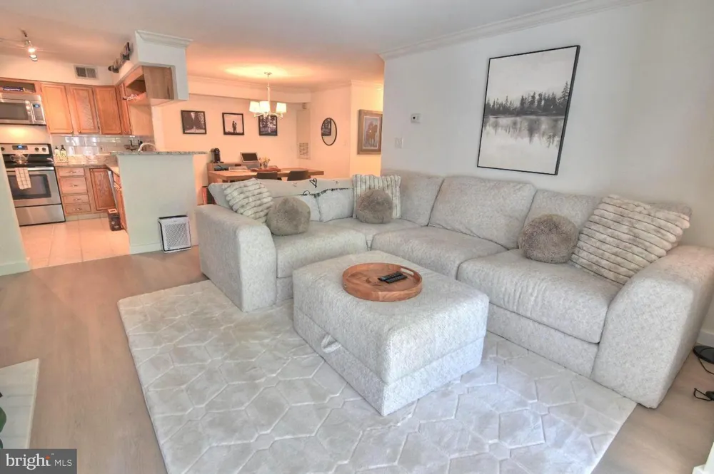 2220 SPRINGWOOD DRIVE #C Reston, VA 20191