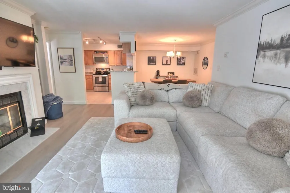 2220 SPRINGWOOD DRIVE #C Reston, VA 20191