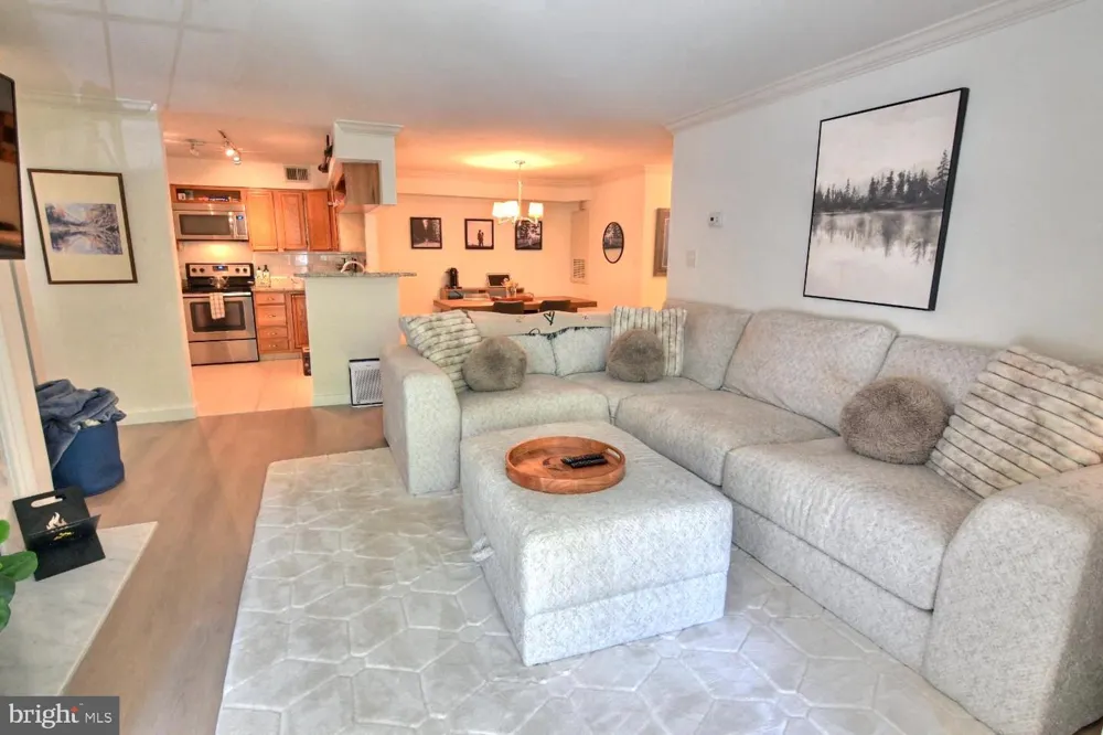2220 SPRINGWOOD DRIVE #C Reston, VA 20191