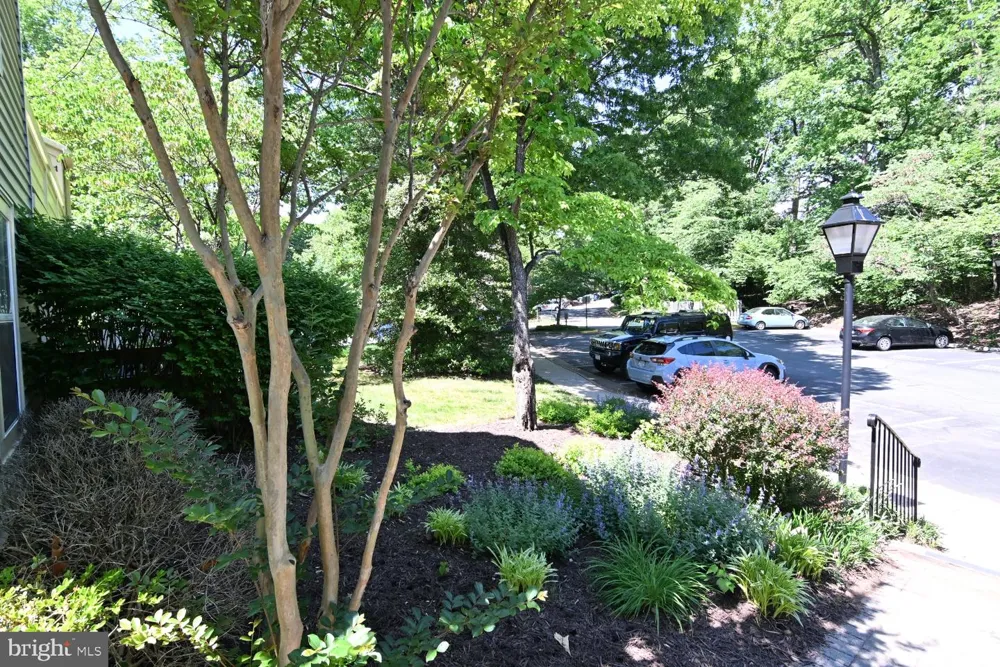 2220 SPRINGWOOD DRIVE #C Reston, VA 20191