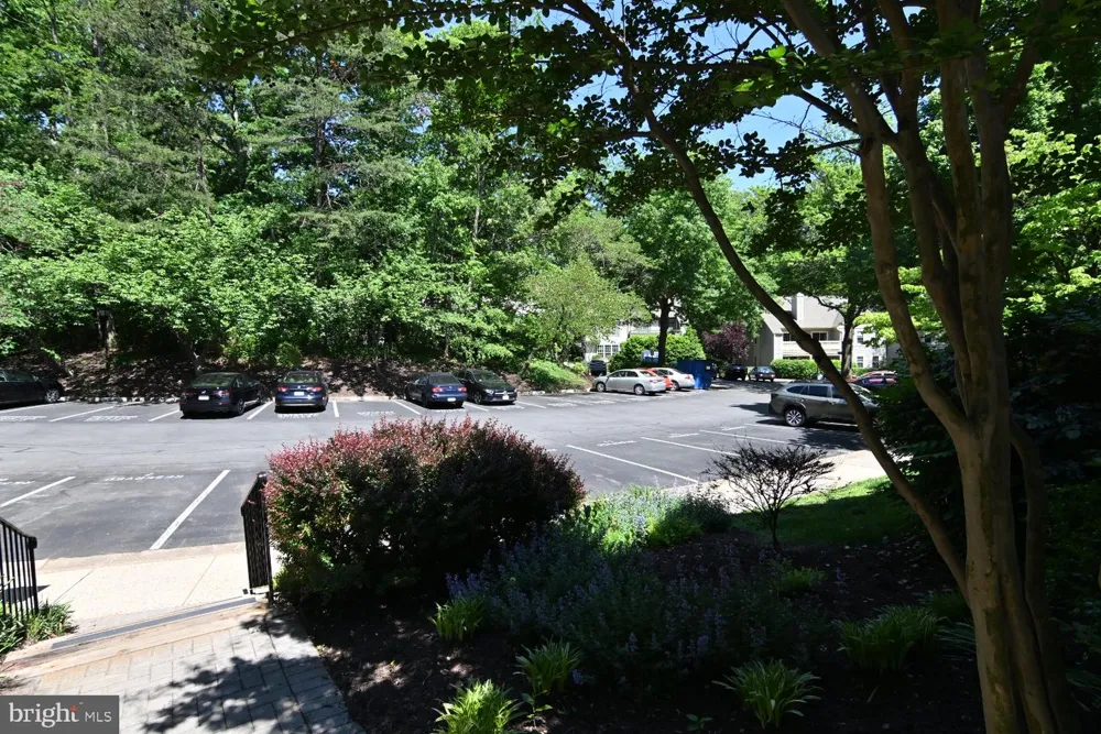 2220 SPRINGWOOD DRIVE #C Reston, VA 20191