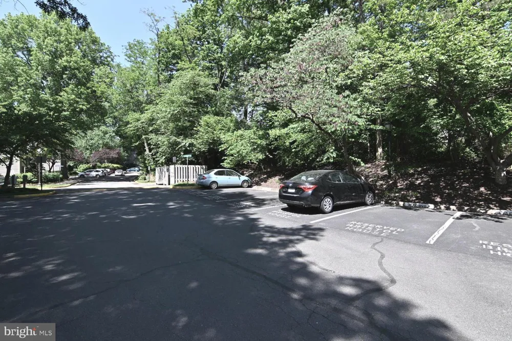 2220 SPRINGWOOD DRIVE #C Reston, VA 20191