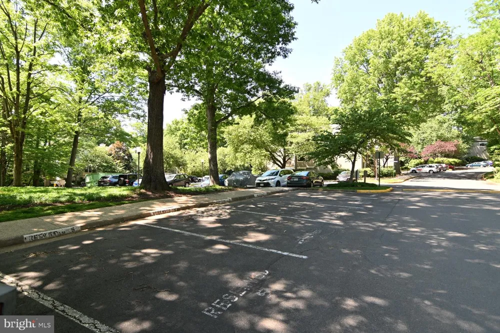2220 SPRINGWOOD DRIVE #C Reston, VA 20191