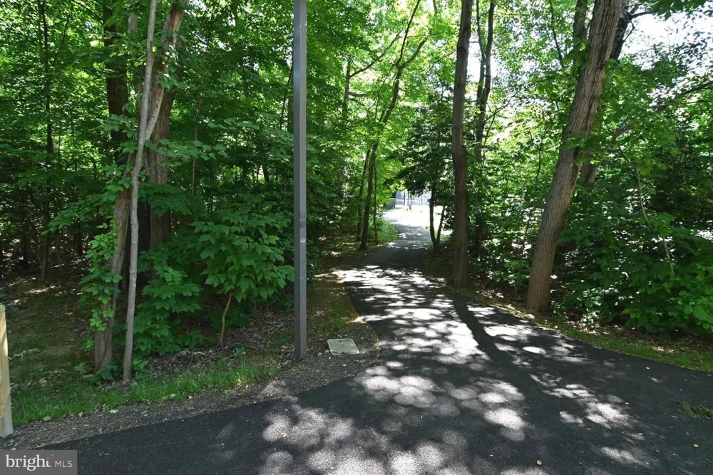 2220 SPRINGWOOD DRIVE #C Reston, VA 20191