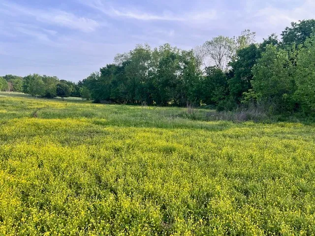 698 Clearview Rd Cottontown, TN 37048
