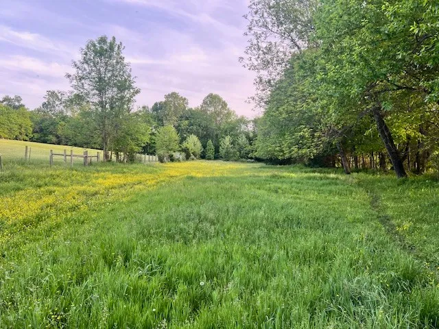 698 Clearview Rd Cottontown, TN 37048