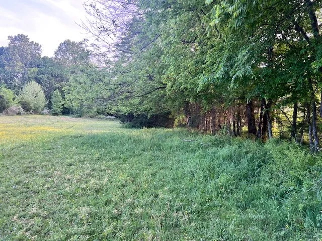698 Clearview Rd Cottontown, TN 37048