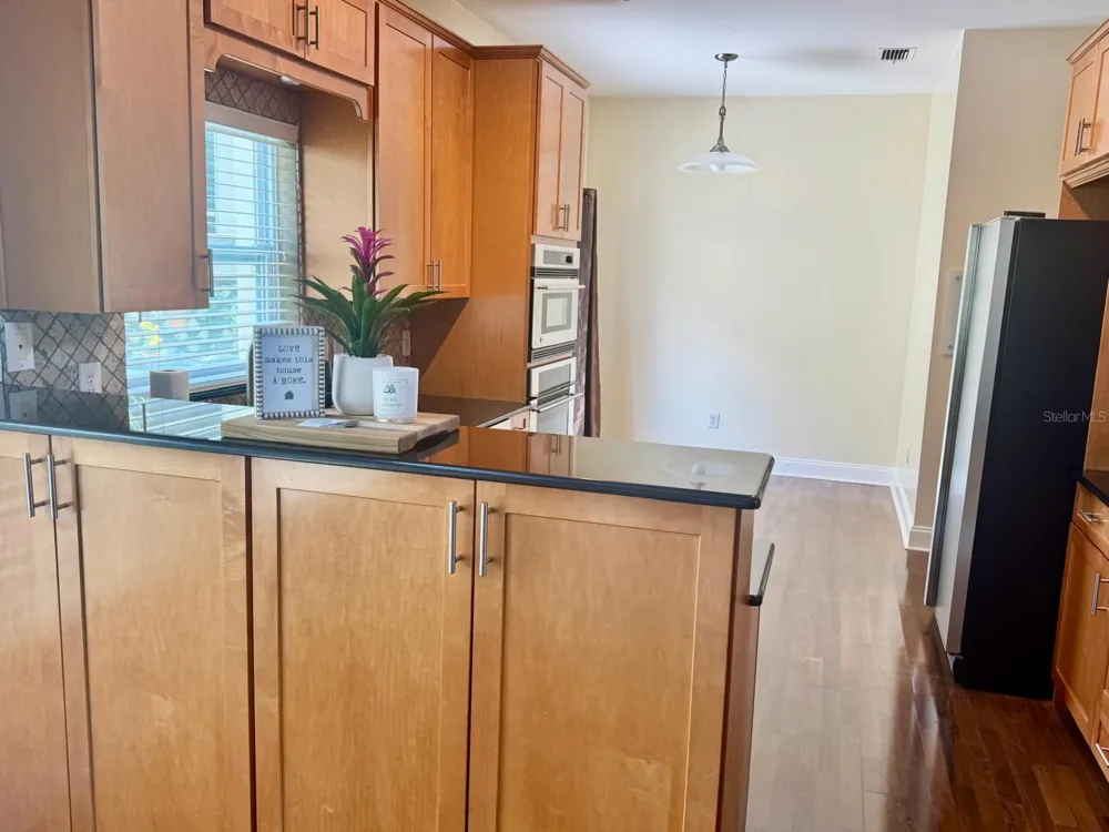 5121 FAIRWAY ONE DRIVE Valrico, FL 33596