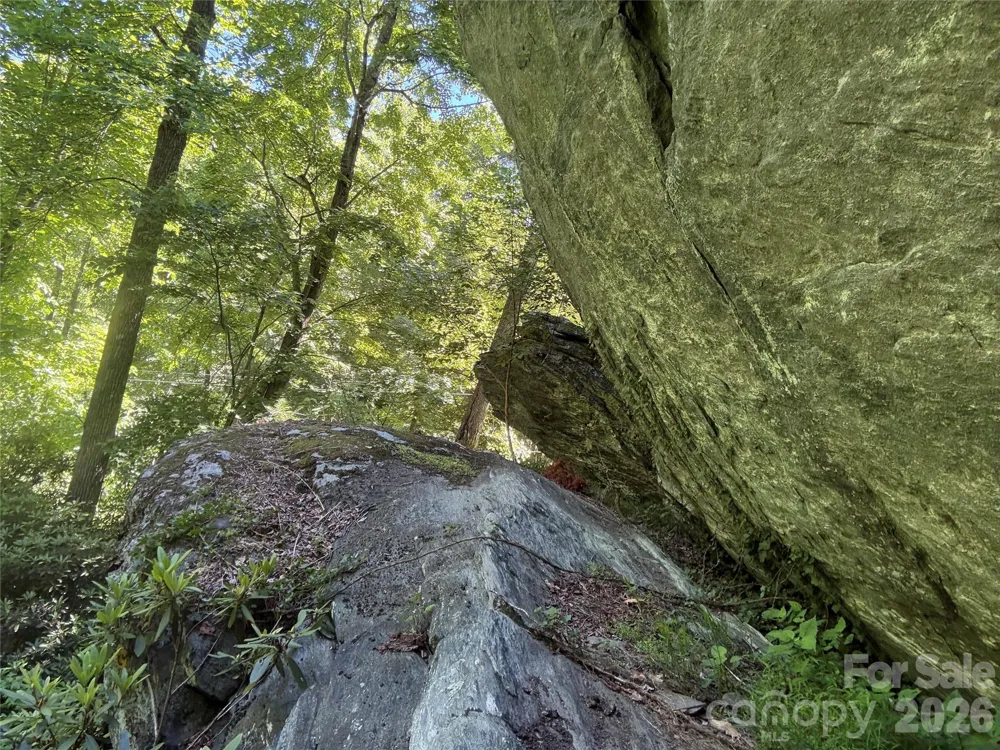 1590 Shulls Mill Road Boone, NC 28607