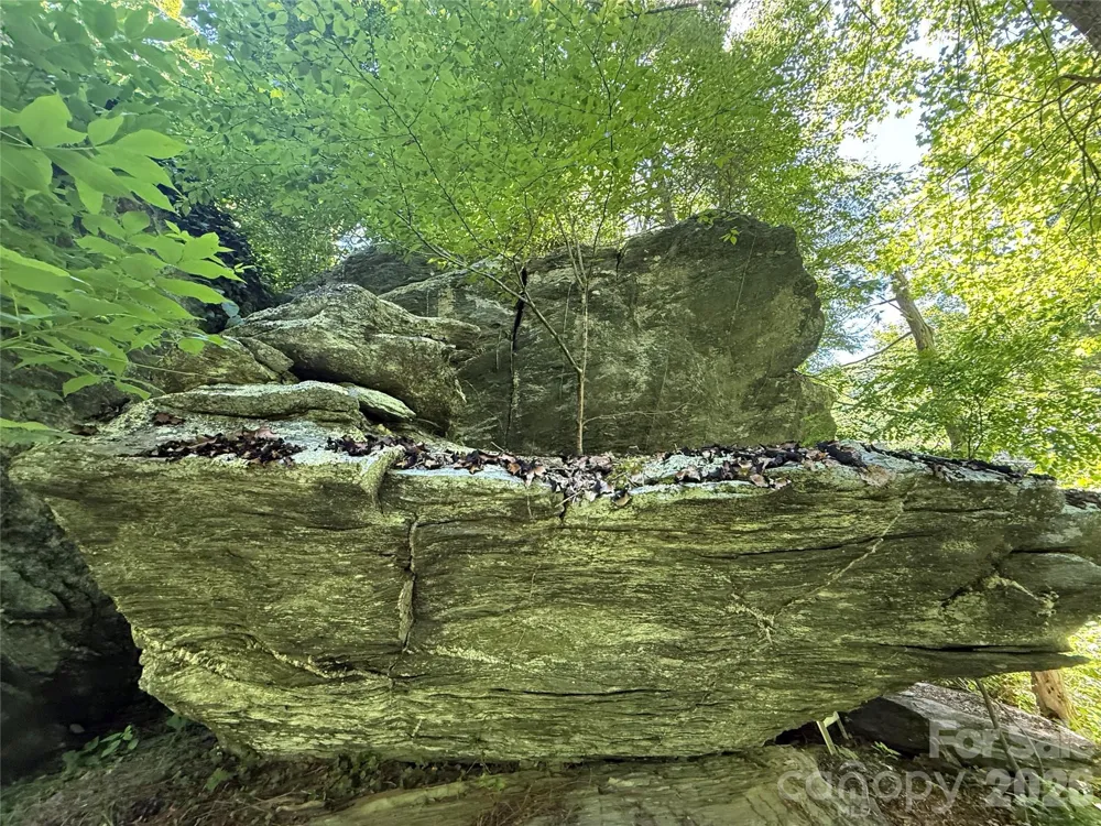 1590 Shulls Mill Road Boone, NC 28607