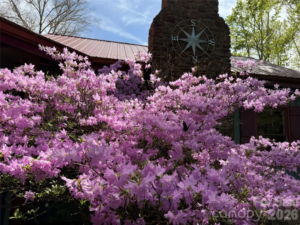 1590 Shulls Mill Road Boone, NC 28607