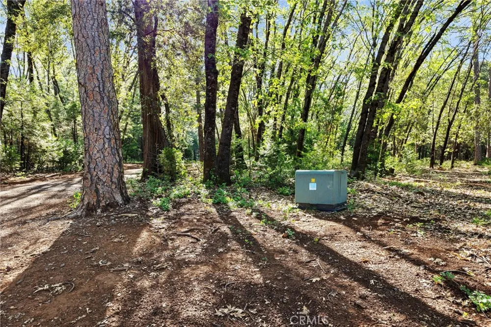 14087 Nimshew Magalia, CA 95954