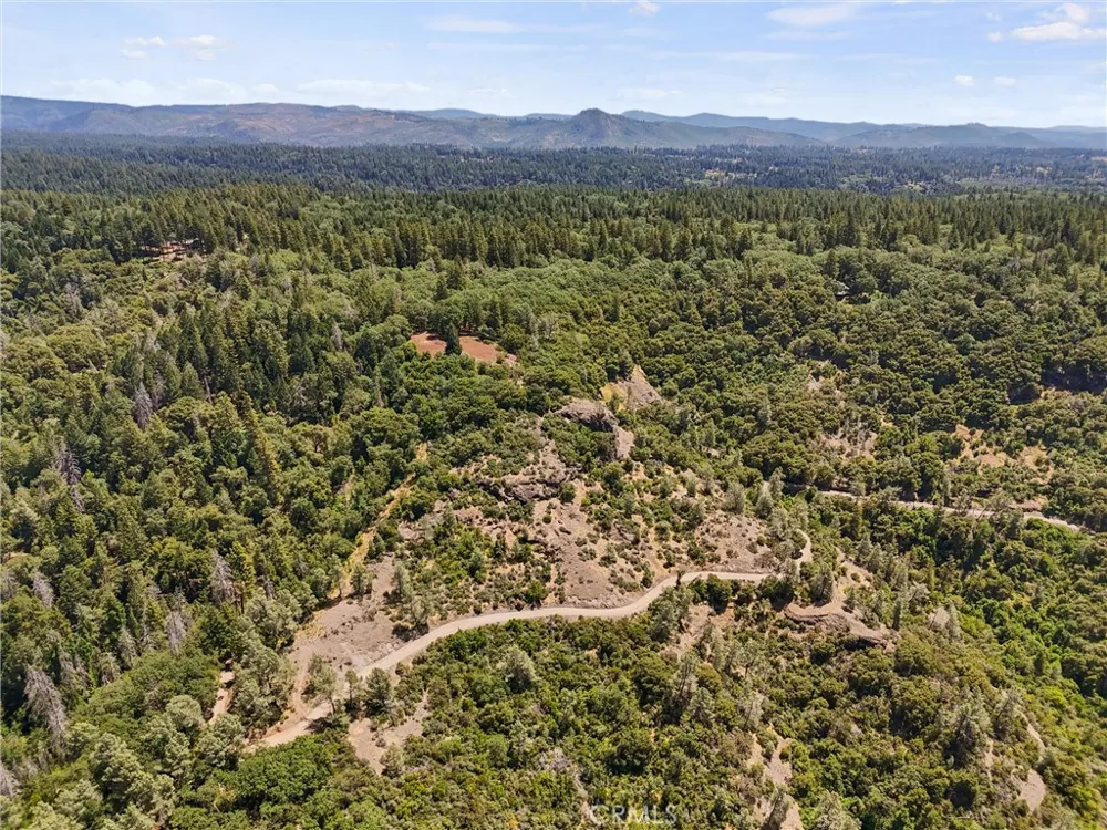 14087 Nimshew Magalia, CA 95954
