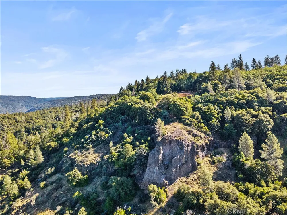 14087 Nimshew Magalia, CA 95954